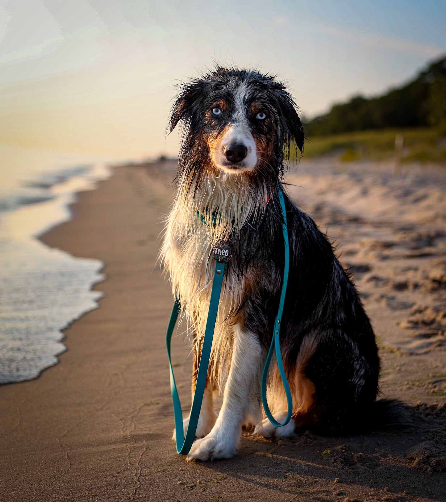 Biothane Type 1 Leash (Limited Edition)