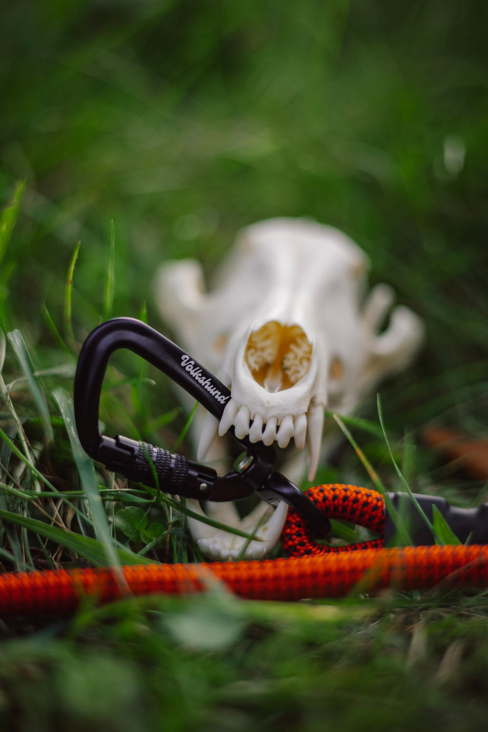 Volkshaunt Hybrid Leash