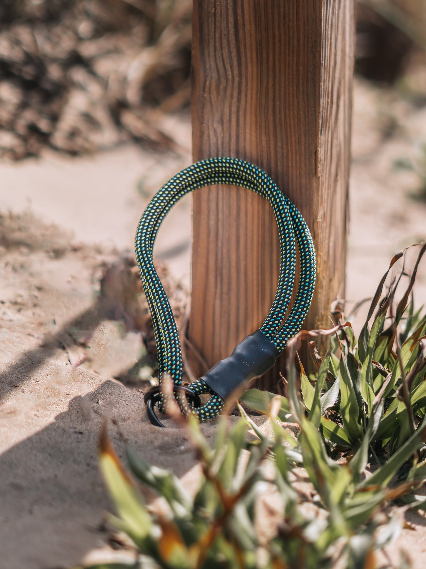 Touring Slip Collar (Limited Edition)