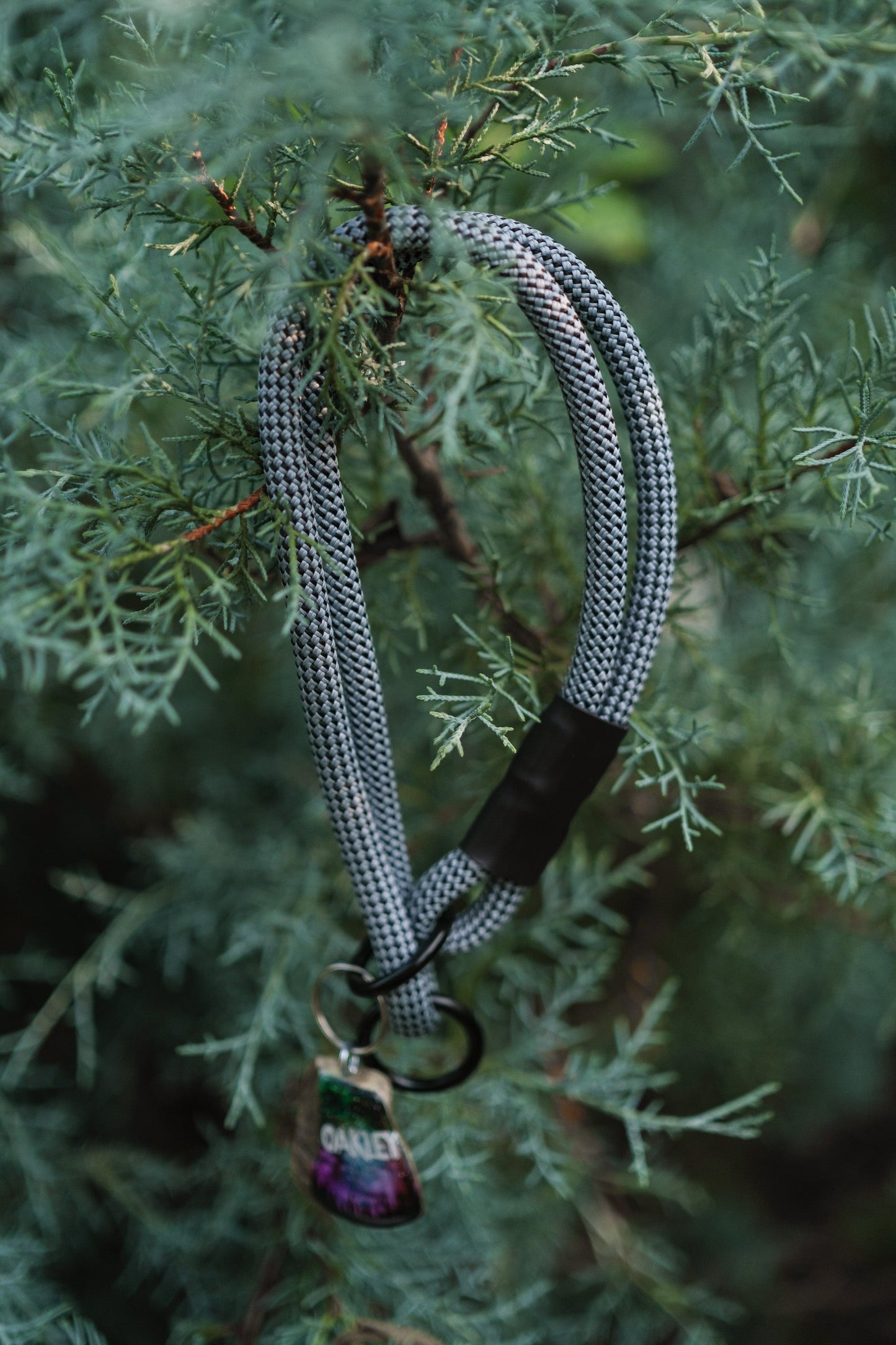 Polo Traffic Handle