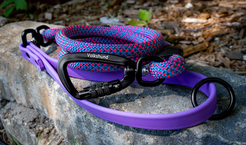 Volkshaunt Hybrid Leash