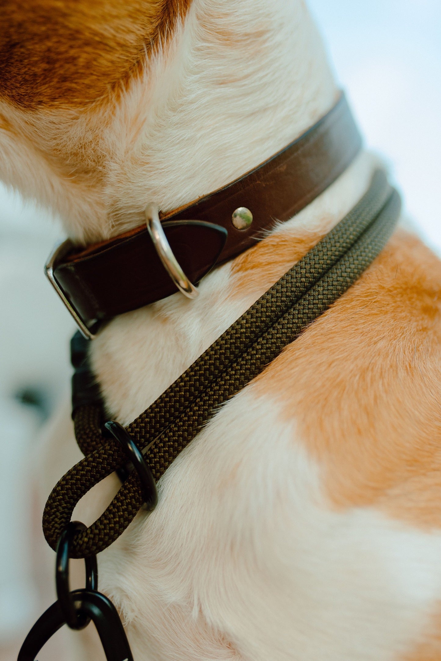 Villager Collar