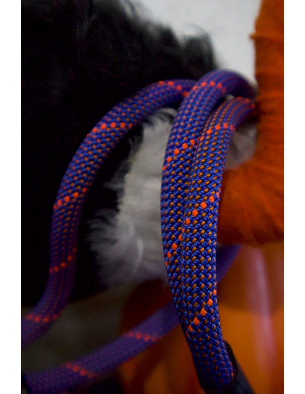 Volkshaunt Hybrid Leash