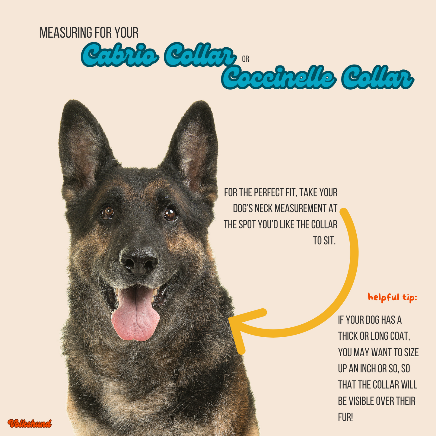 Coccinelle Collar (Limited Edition)