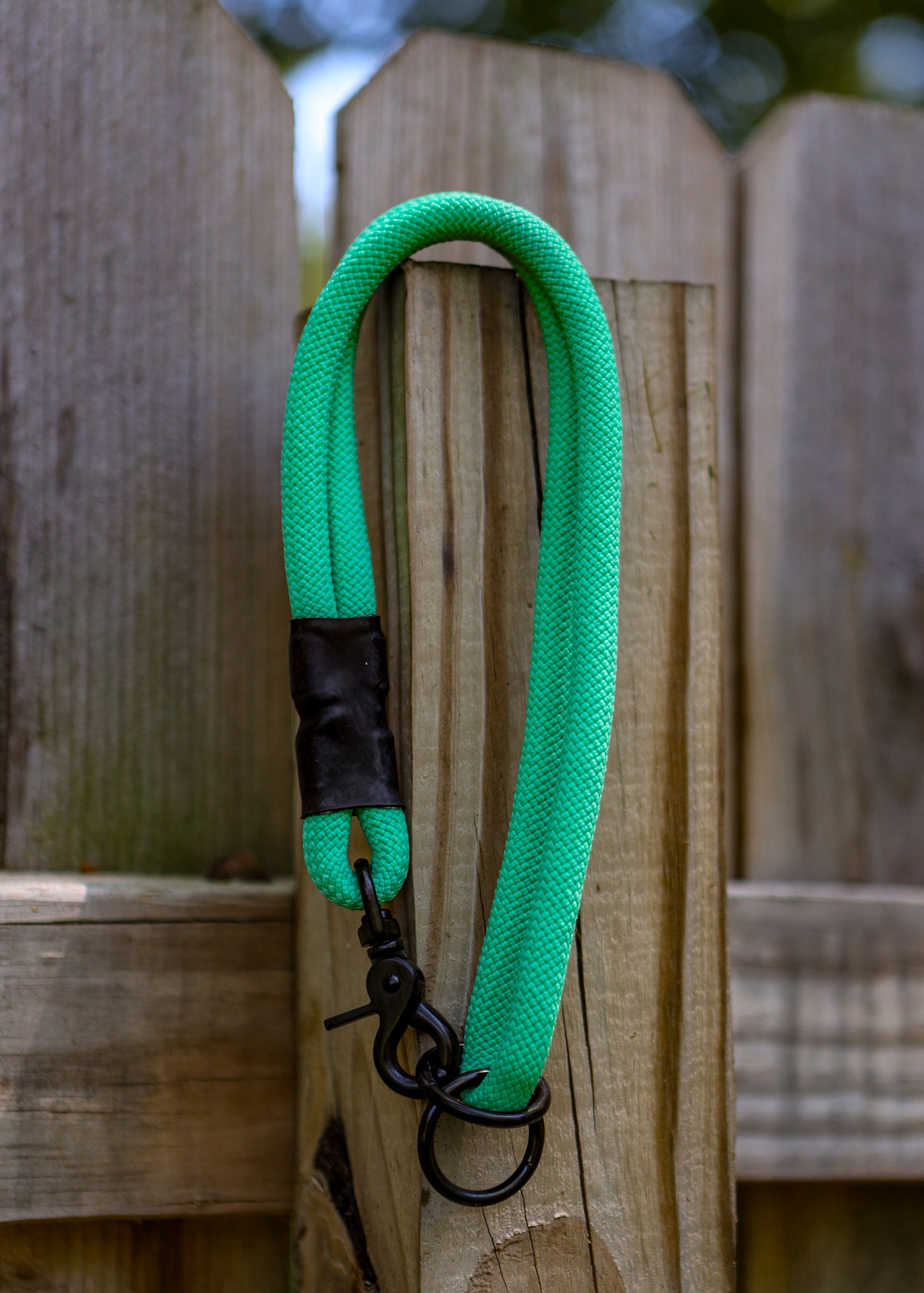 Cabrio Collar