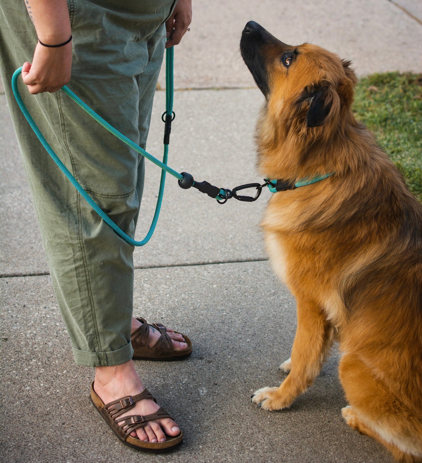 Cross-Sport Leash (Limited Edition)