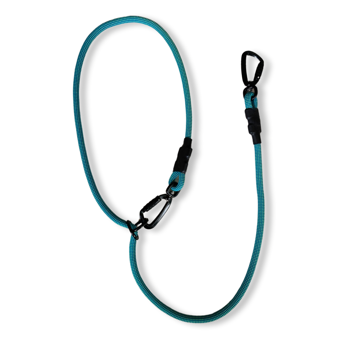 Eos Multiway Leash (Limited Edition)
