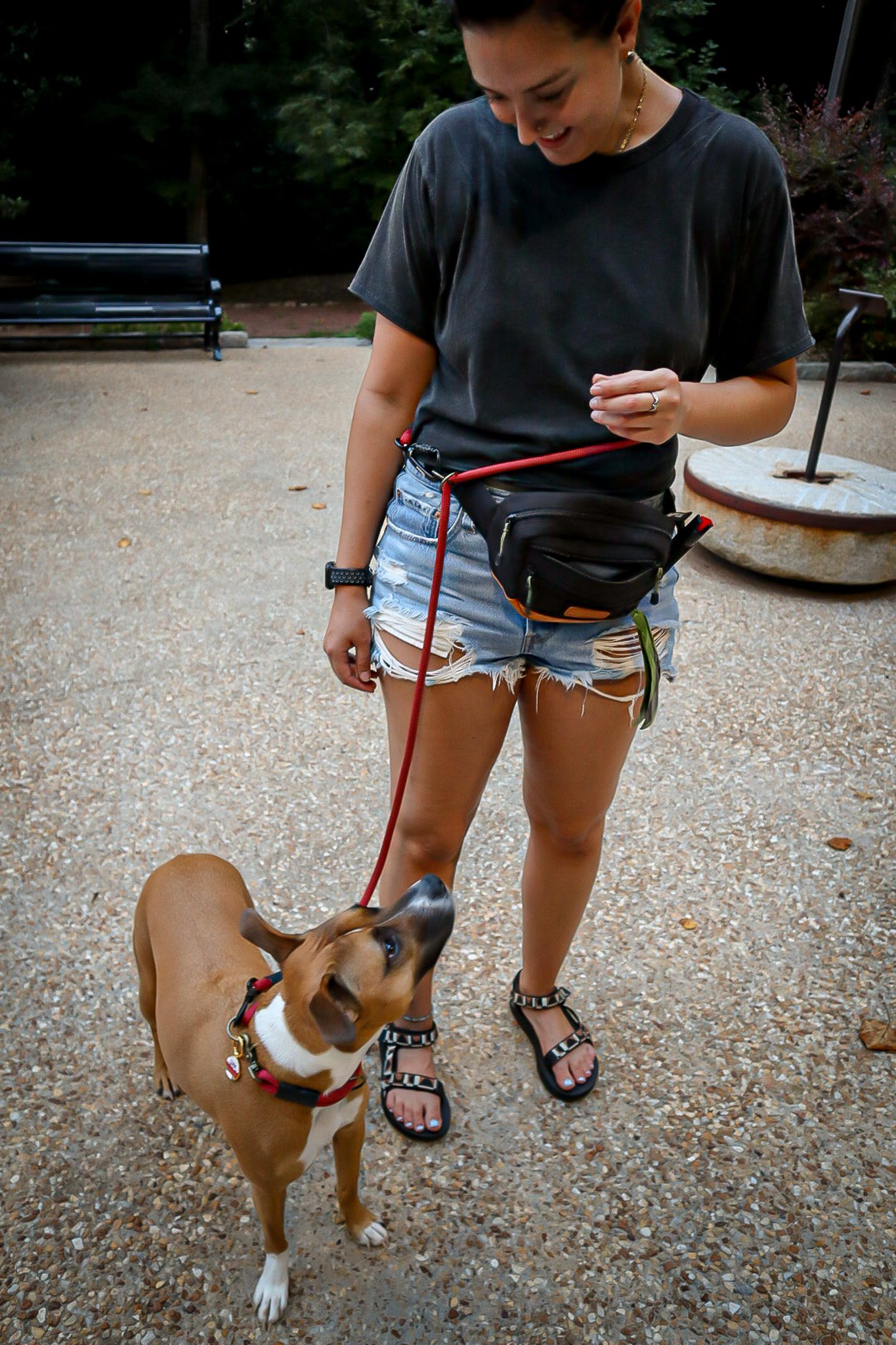 Eos Multiway Leash