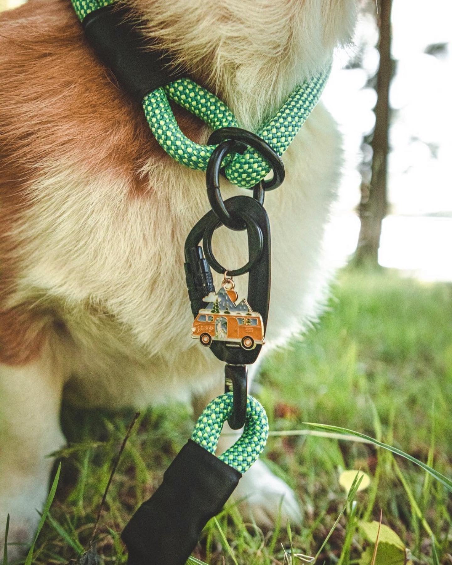 Adventure Charms