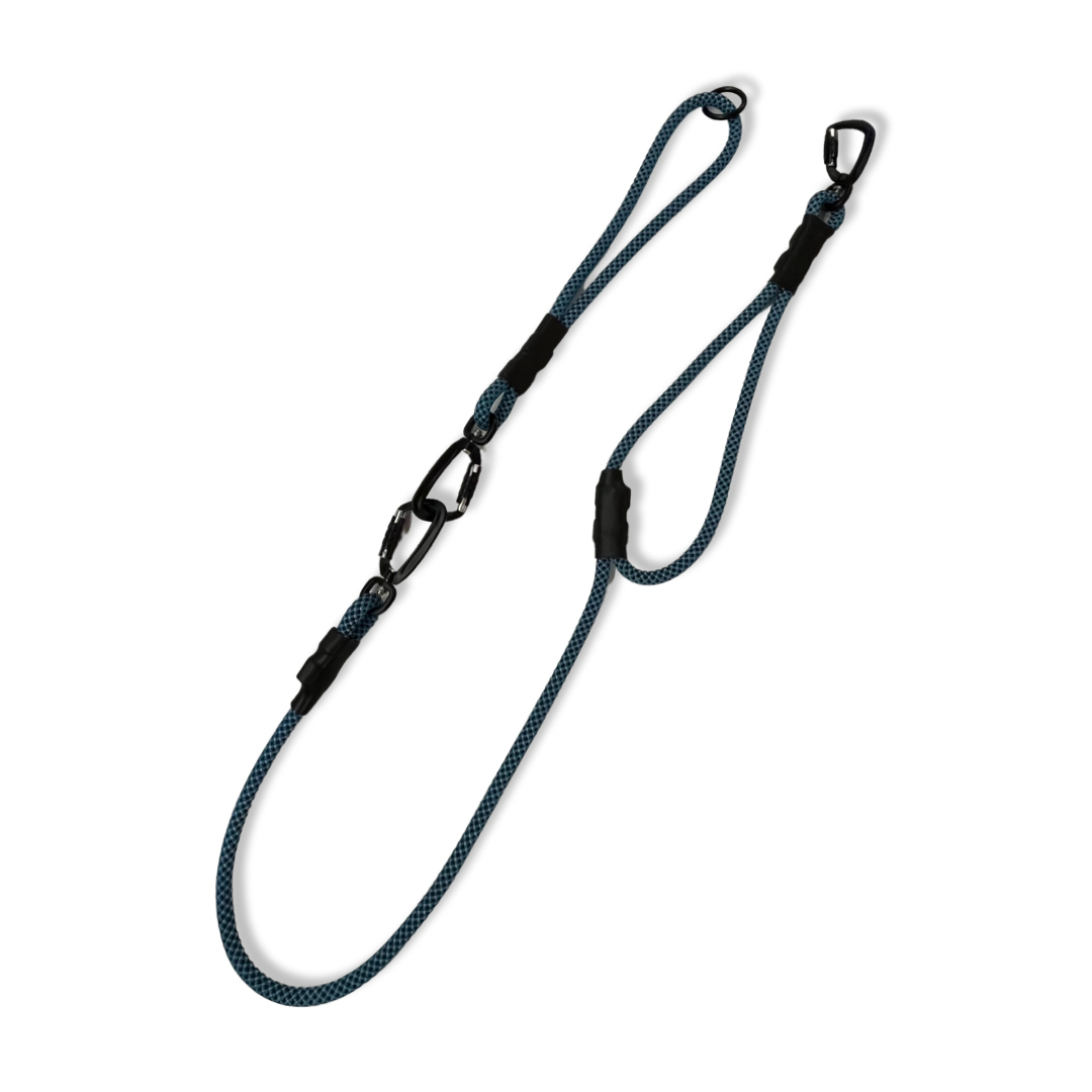 Hybrid Leash