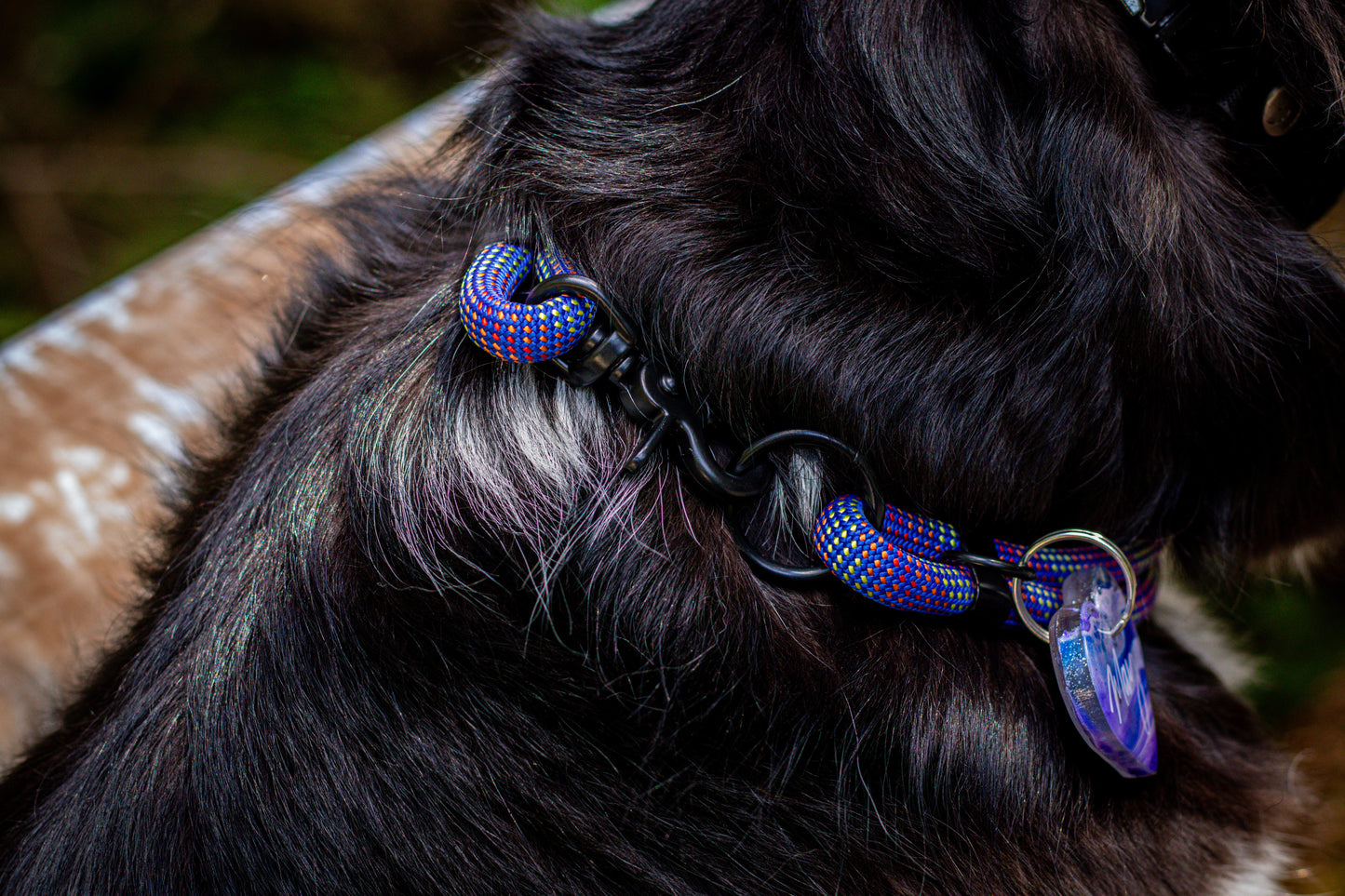 Coccinelle Collar