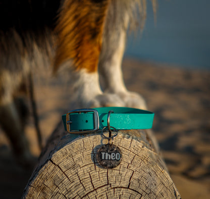 Biothane Buckle Collar (Limited Edition)