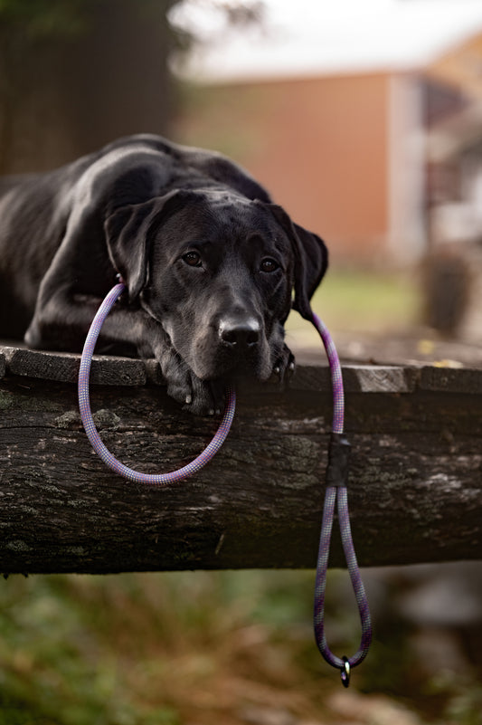 Type 1 Leash (Limited Edition)