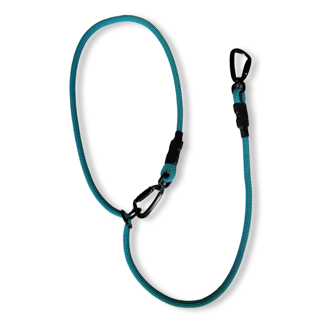 Eos Multiway Leash